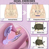 limitless Kegel Fitness Equipment Home Exercise  Pelvic Muscle Trainer Buttock Equipments For Men And Women